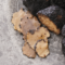 Dove mangiare tartufo a Bologna e dintorni